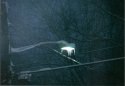Street light with icicles...