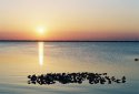Sunset on Lake Washington