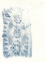 Cyanotype
