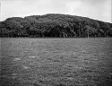Bronica ETRS