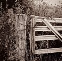Gate, Bull Valley Road