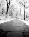 Frozen Path