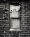 Window Detail, Furniture Factory