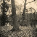 Kentmere Park