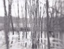makeshift lens landscapes