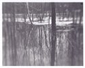 makeshift lens landscapes