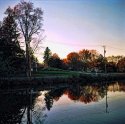 Collection of Rolleiflex Images