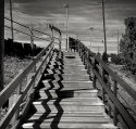 Selected images