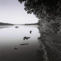 Selected images