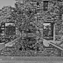 Selected images