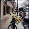 Bicycle with Flowers