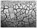 Dehydrated