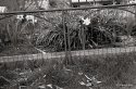 Spring 2011