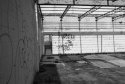 you may enter - MSA light and shadow
