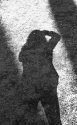 My Shadow
