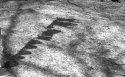 Clothesline shadows