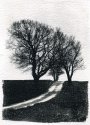 Tree trees