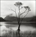 Buttermere