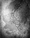 Silverprint 2