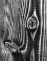 Silverprint 5