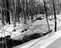 Winter scene