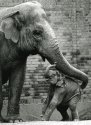 Care 2