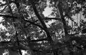 late afternoon 3