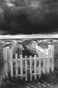 Grave yard