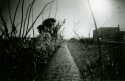 Disused rail line, Ferry Point #1