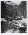 Bear Creek