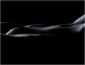 Body Landscape #1