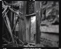 Left to rot.