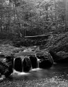 Monocacy Creek, 5/11