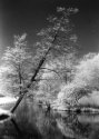 Scenery