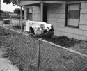 Urban Decay