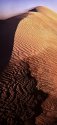 Dune 2