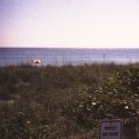 Protect Our Dunes