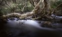 John Forrest