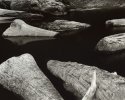 Driftwood #2