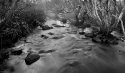 John Forrest 3