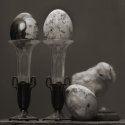 egg and chicken..