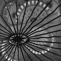 Chandelier and Ceiling