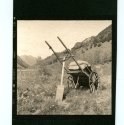 Salt, old French cart