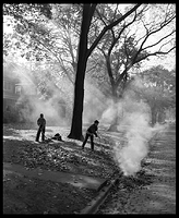 1955 Fall Leaf Burning
