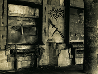 Derelicht Importance