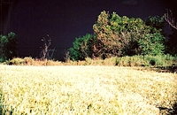 High Tension on the Horizon