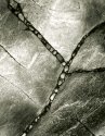 Stone Patterns, Iona
