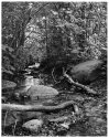 The Stream