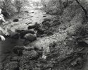 chee dale water path