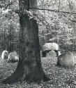 Grave from the past